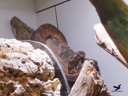 Tiergarten Schönbrunn am 15.05.2025